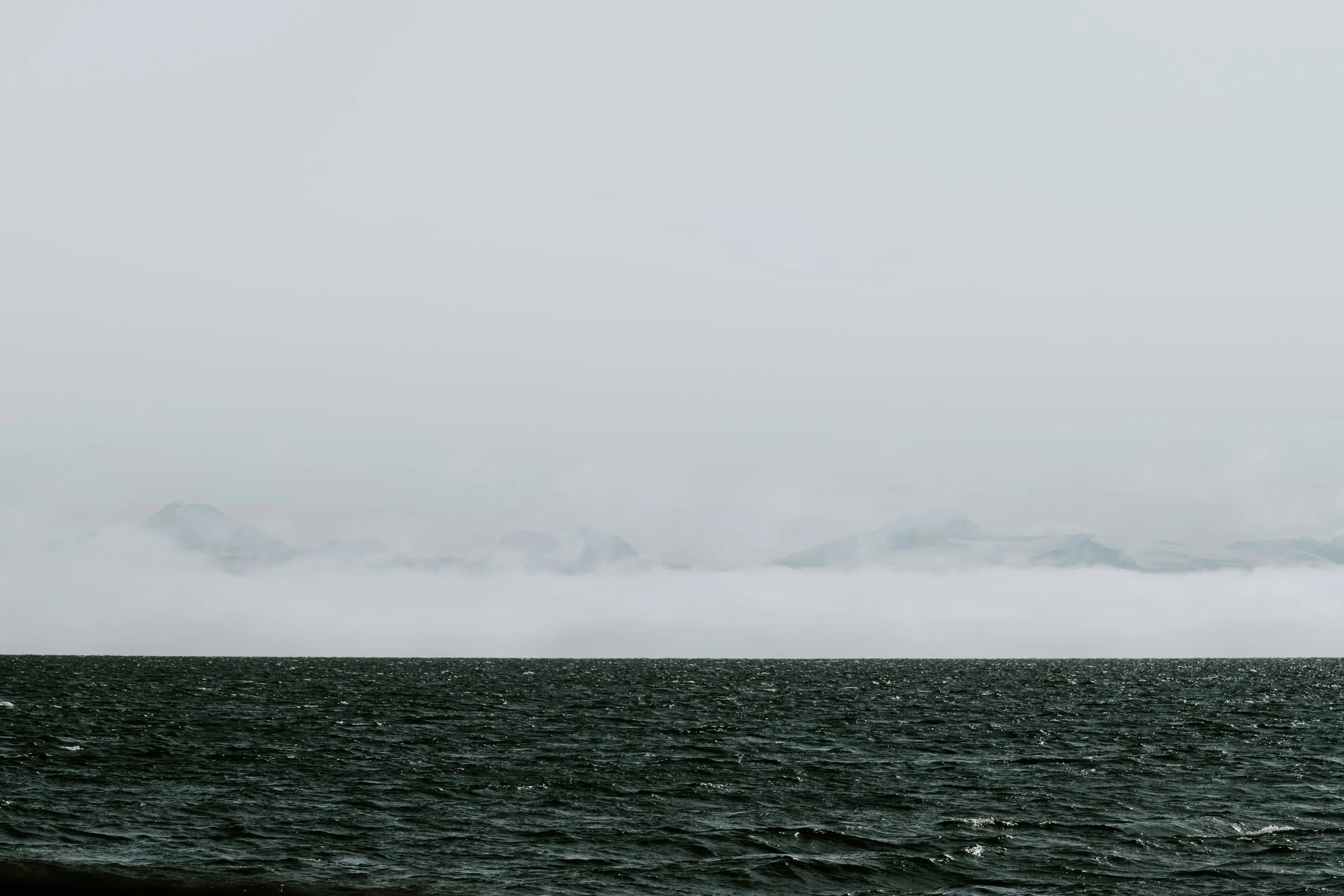 Business consulting team