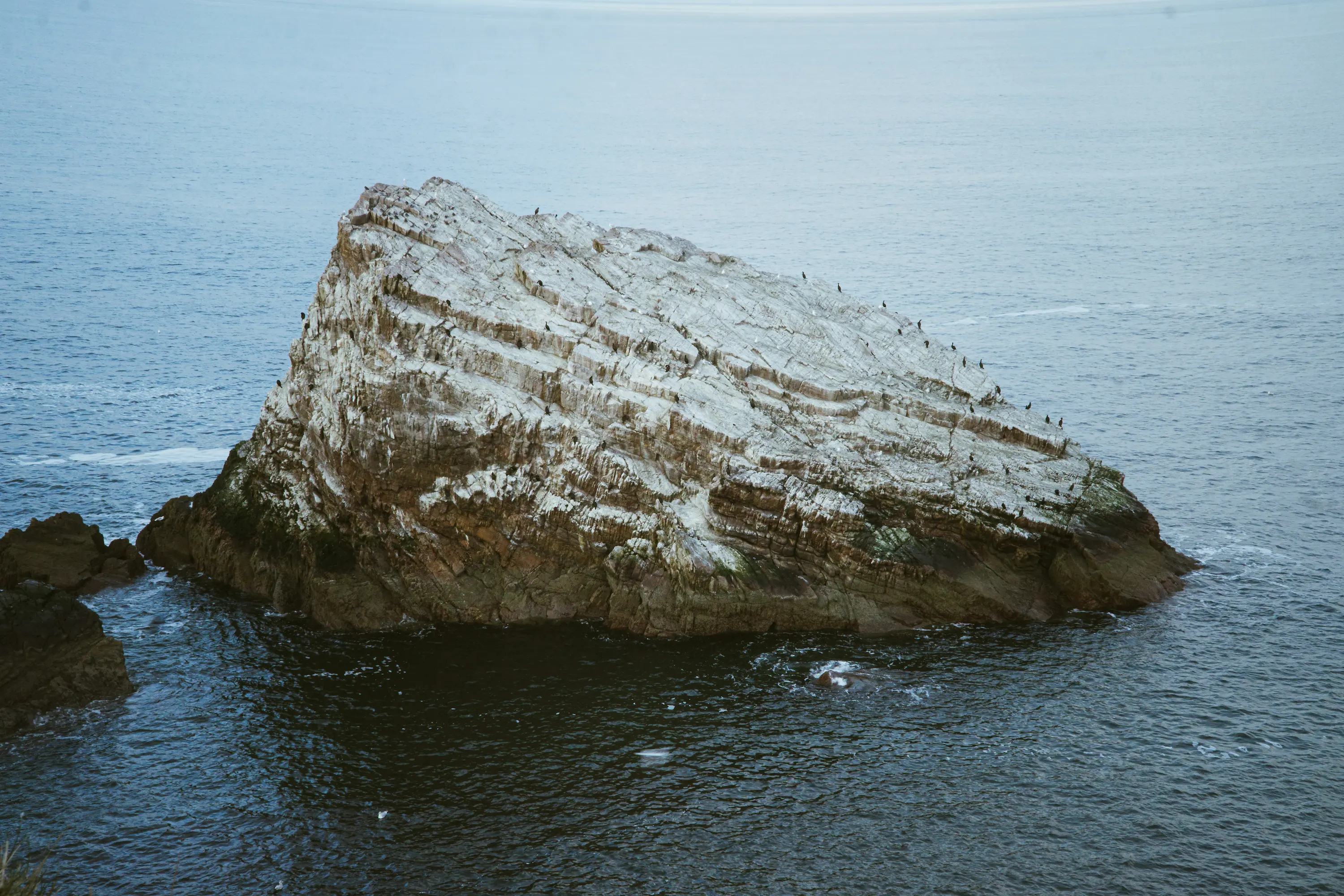 Building for long term